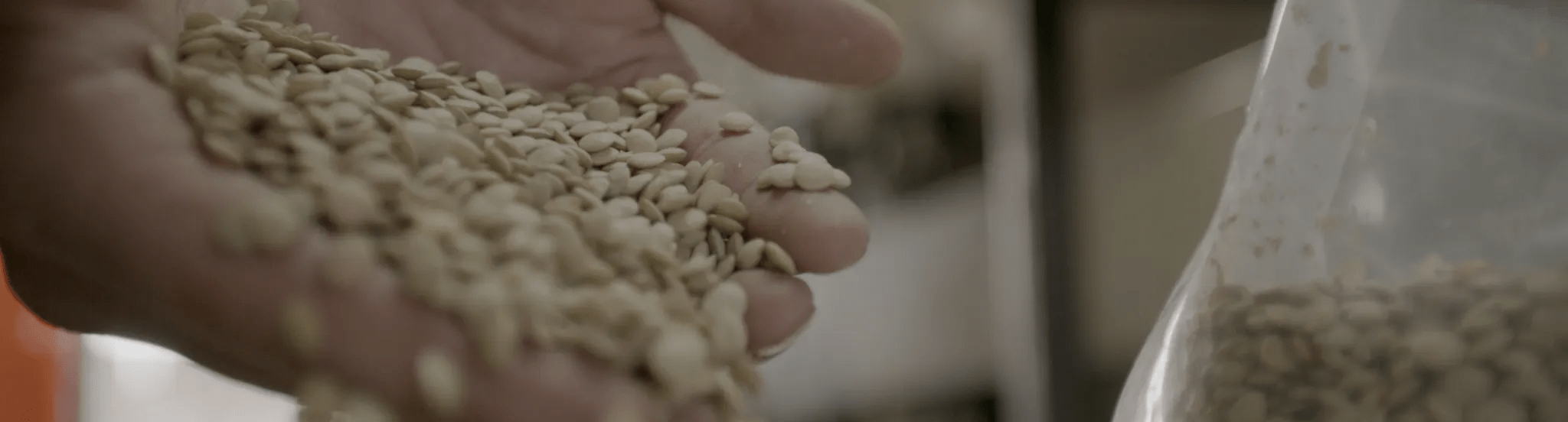Grain